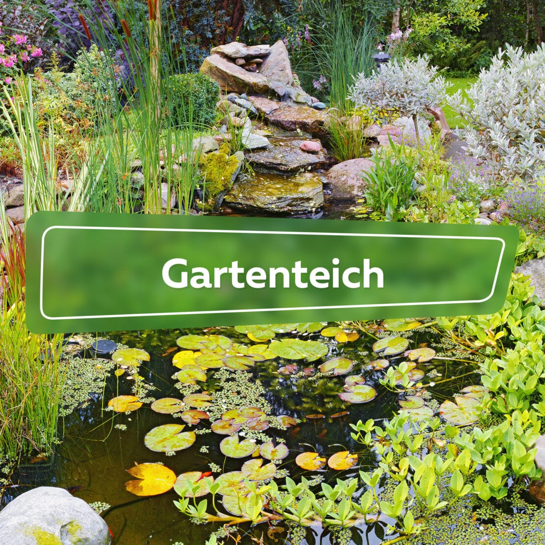 Gartenteich