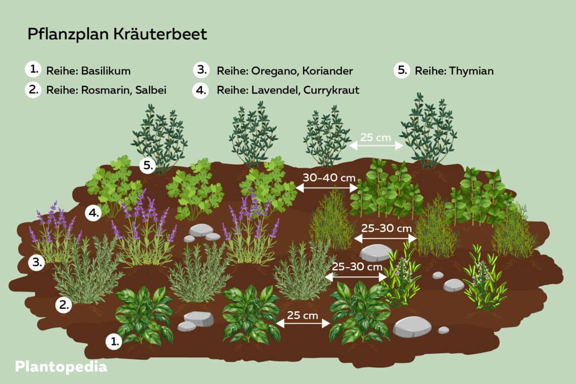 Mediterranes Kräuterbeet