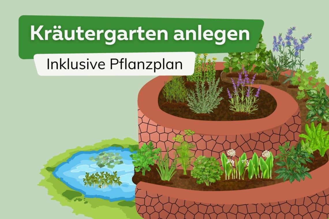 Kräutergarten durchdacht anlegen