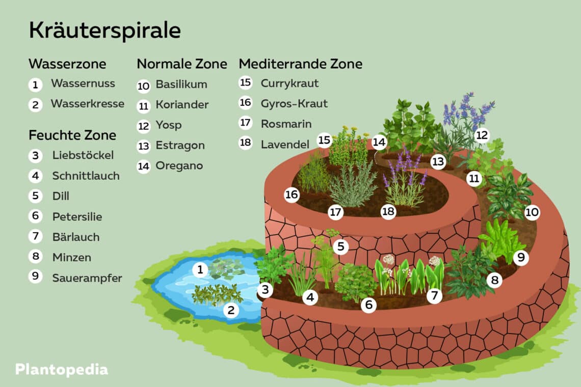 Kräuterspirale anlegen