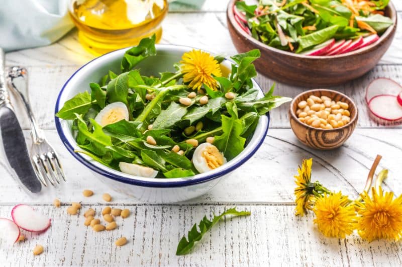 Salat aus Löwenzahnblättern und Blüten