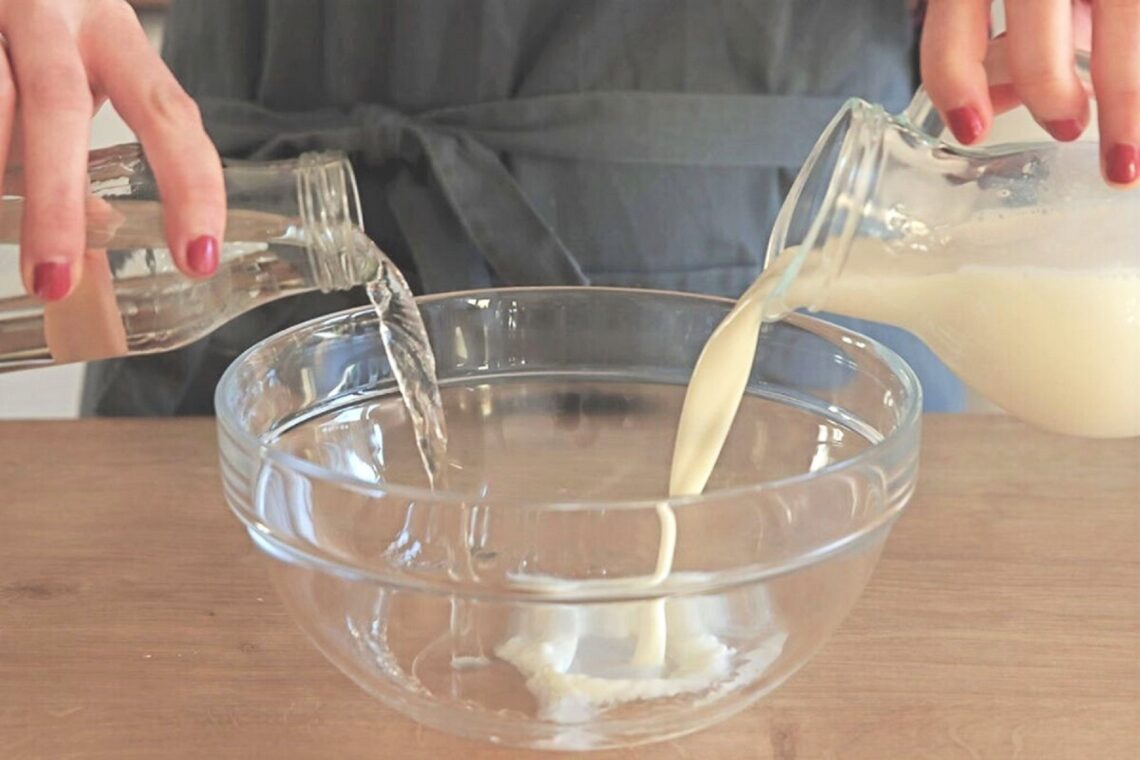 Lösung aus Milch und Wasser herstellen, um Mehltau zu bekämpfen