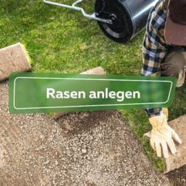 Rasen anlegen