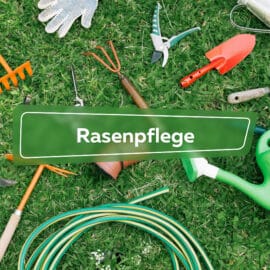 Rasenpflege