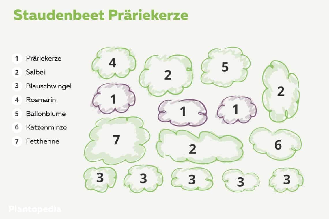 Staudenbeet Pflanzplan beschriftet