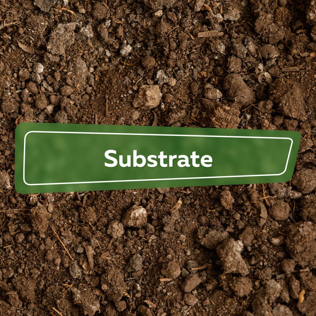 Substrate