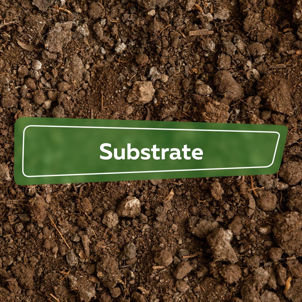 Wht Is Subsyrate Substrate Ratgeber - Hortica