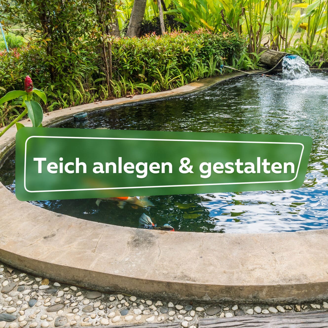 Teich anlegen & gestalten Ratgeber Hortica