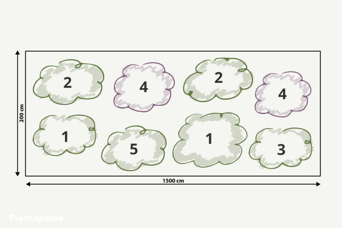 Vogelschutzhecke Plan