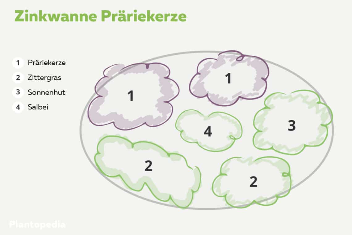 Zinkwanne Pflanzplan beschriftet