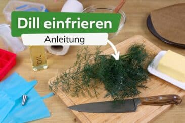 Dill richtig einfrieren Anleitung Titel