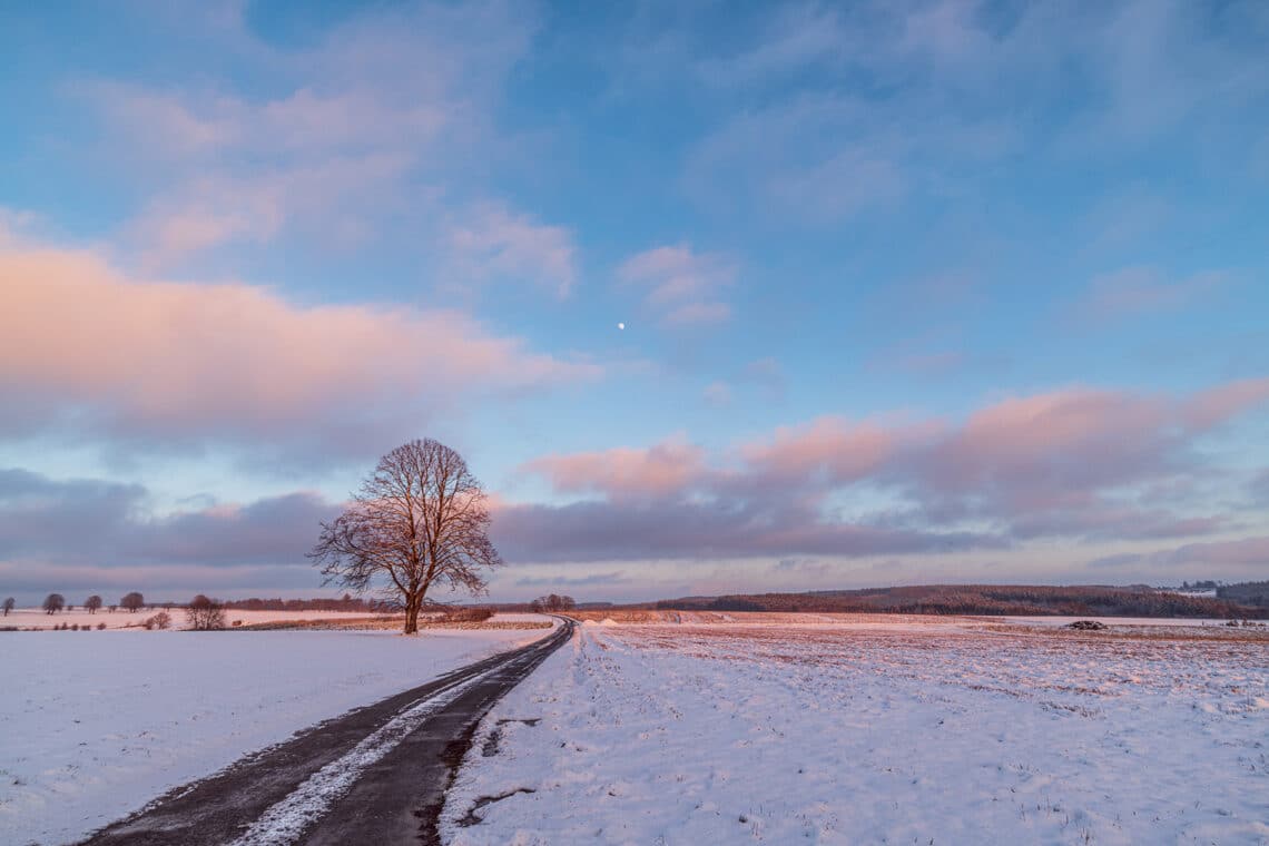 Feld mit Schnee bedeckt