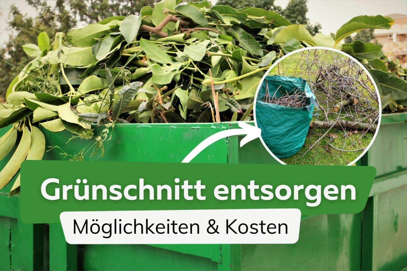 Grnschnitt Entsorgen Essen