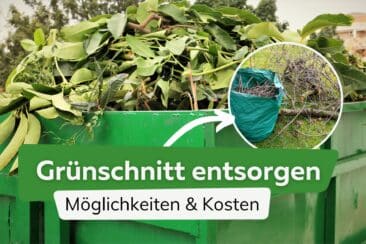 Grünschnitt entsorgen: so geht's richtig | Kosten