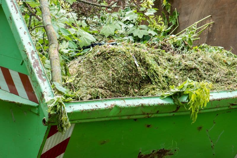 Grünschnittcontainer mit Gartenabfällen befüllt