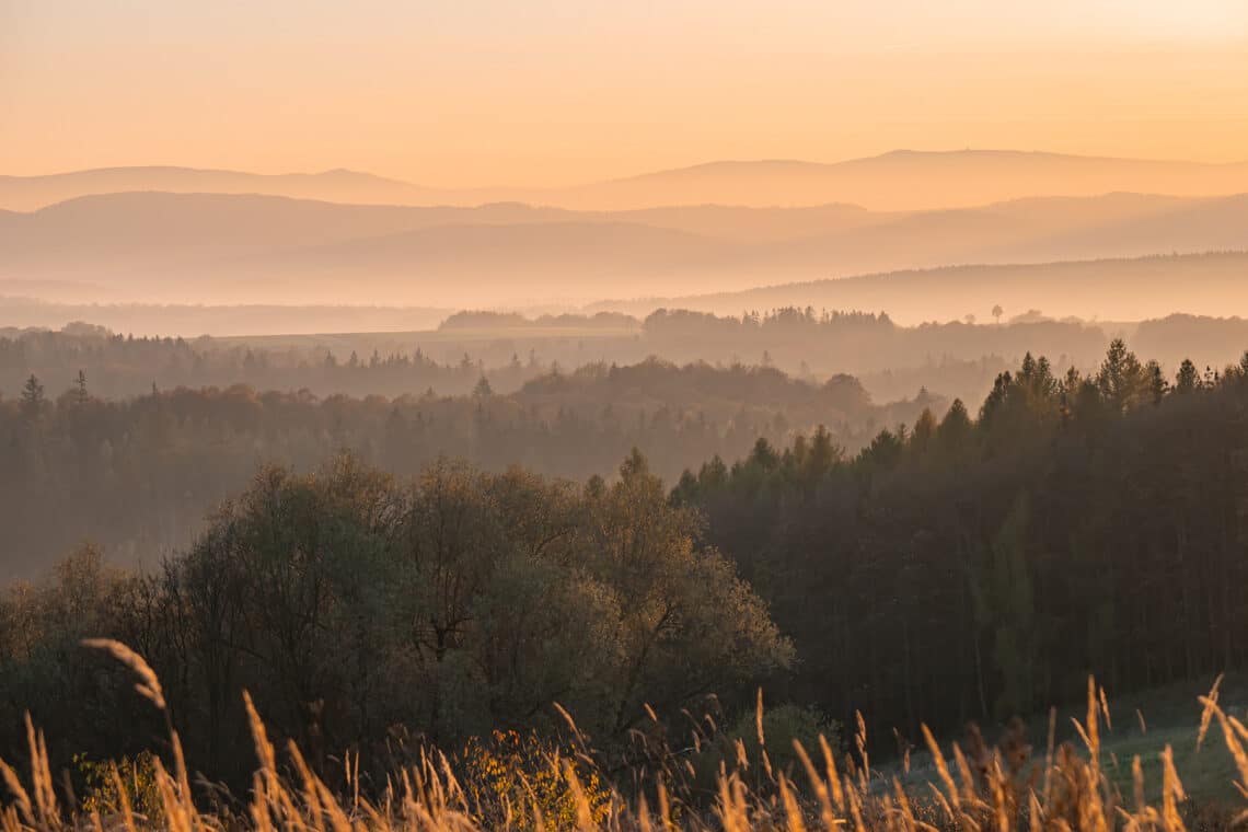 Landschaft im Nebel