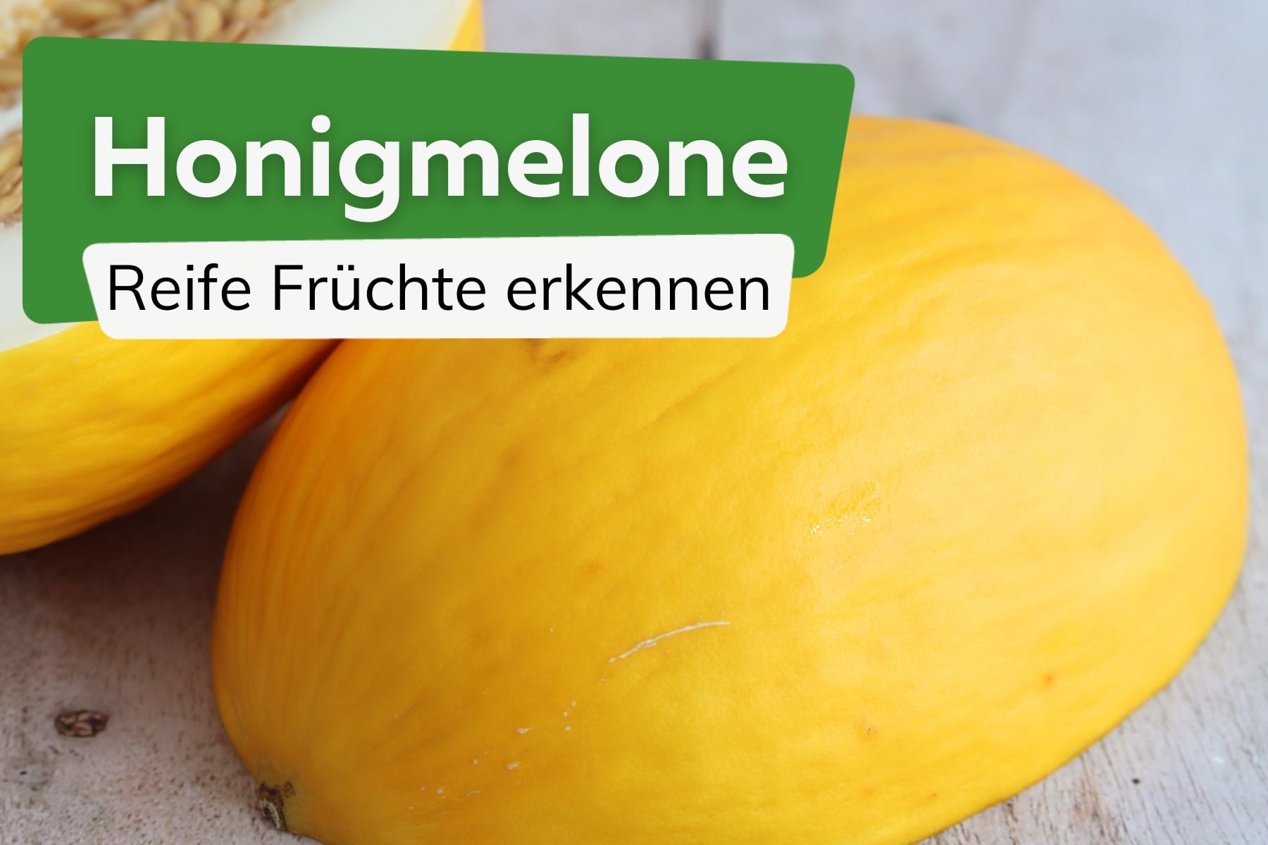 Reife Honigmelone erkennen