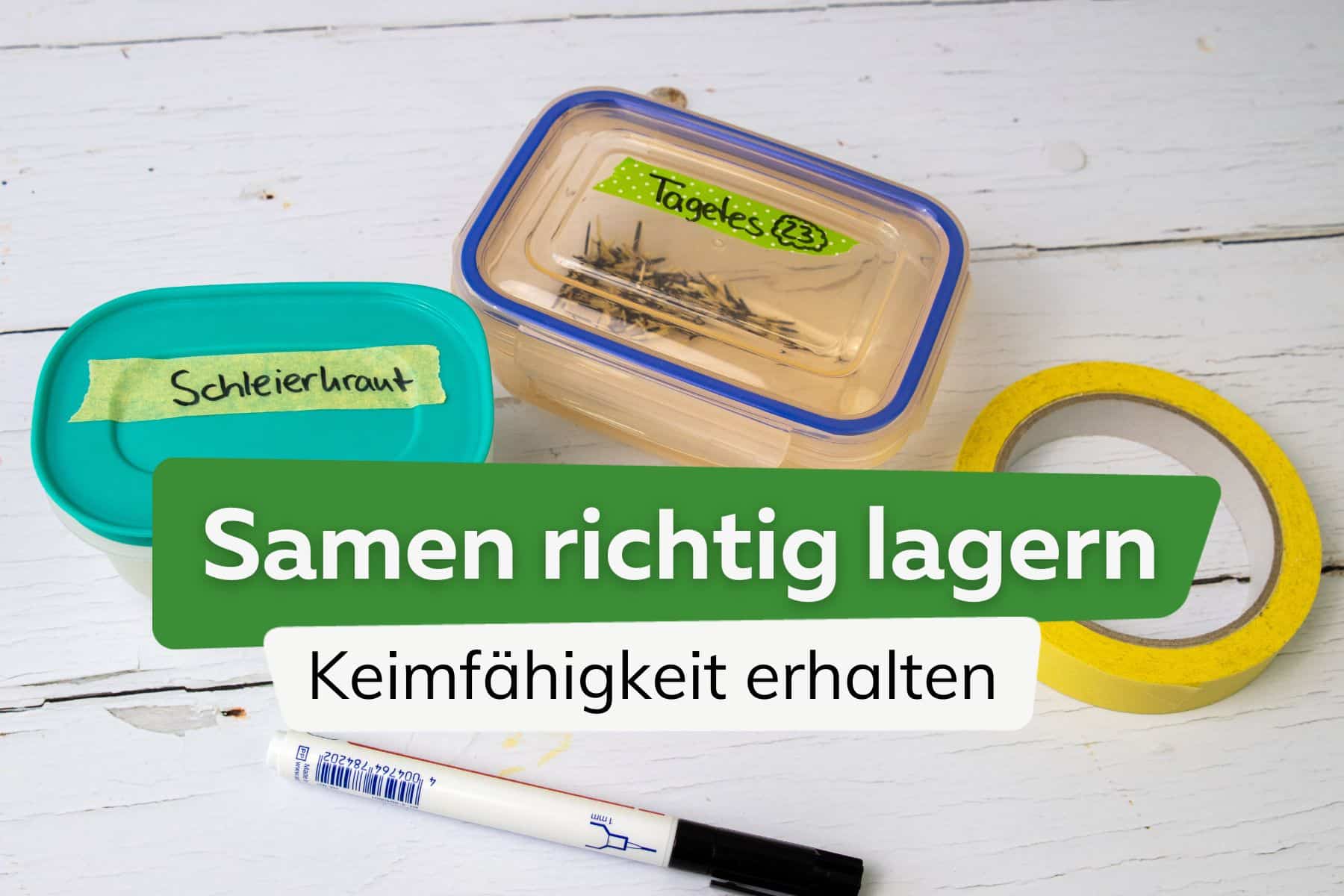 Samen richtig lagern: Keimfähigkeit erhalten