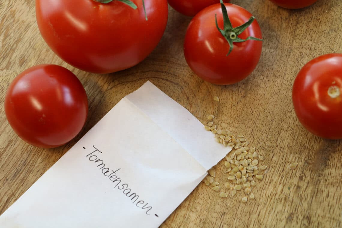 Tomatensamen lagern