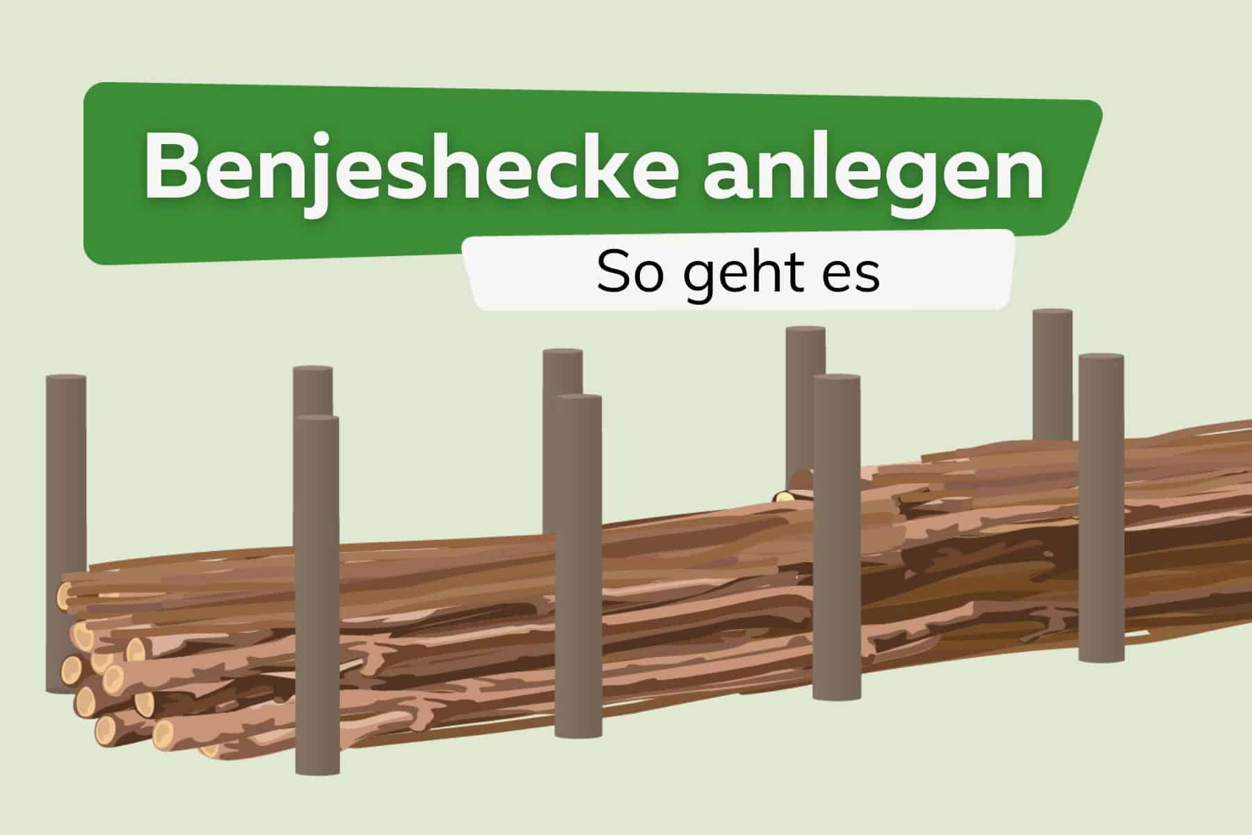 Benjeshecke anlegen: so geht es