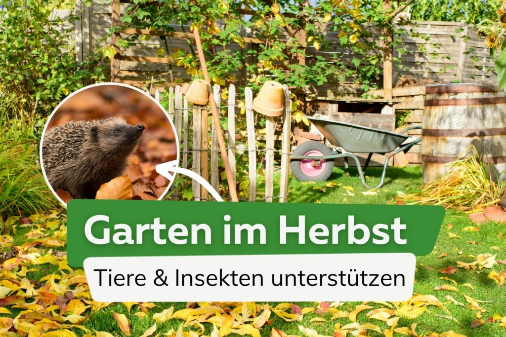 Lebensgroe Tiere Fur Den Garten
