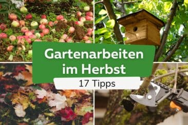 Gartenarbeit im Herbst: To-do-Liste mit 17 Tipps