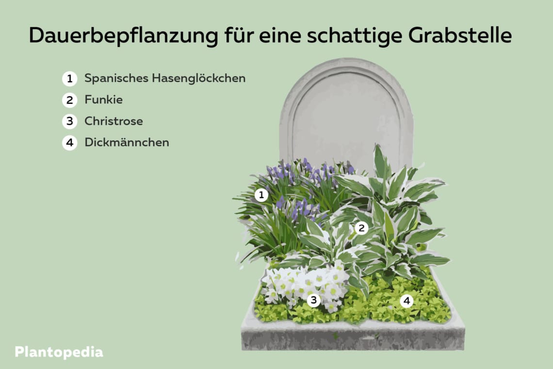 Pflanzidee für eine Dauerbepflanzung für eine schattige Grabstelle