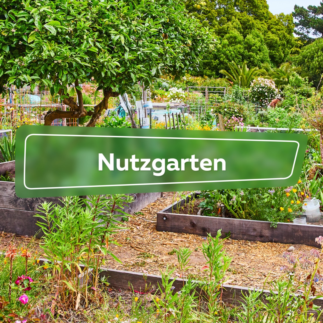 Nutzgarten