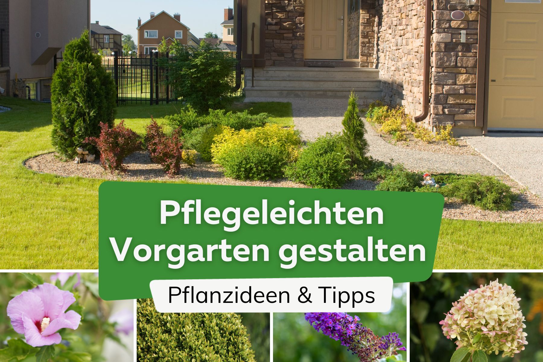 Pflegeleichten Vorgarten gestalten Titel