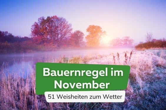 Bauernregeln im November