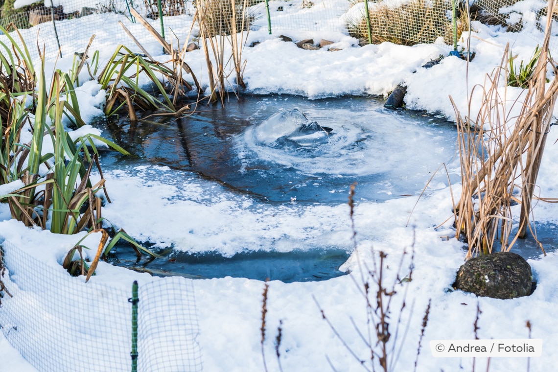 zugefrorener Gartenteich im Winter