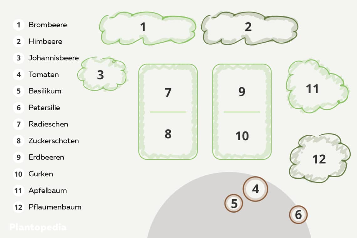 Naschgarten Schema Nummeriert