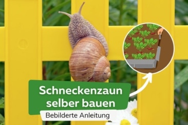 Schneckenzaun selber bauen Anleitung Titel