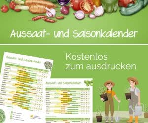 Aussaatkalender