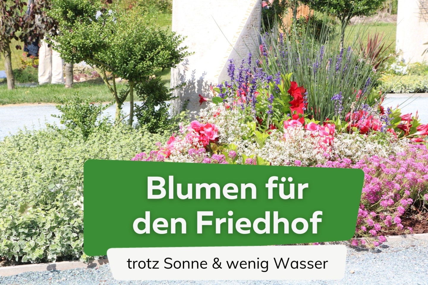 Garten begradigen 3 Ideen um den Boden zu nivellieren