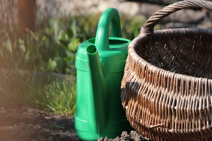 Gießkanne im Garten